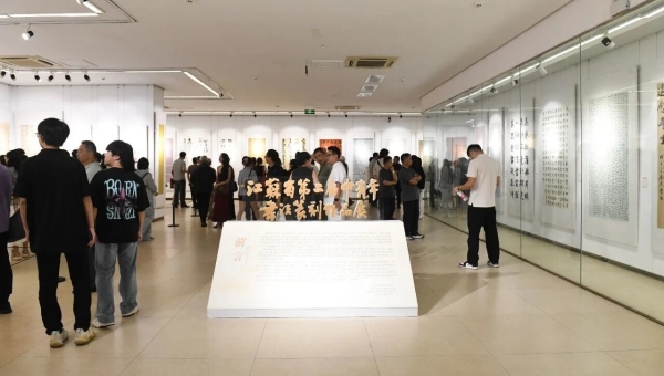 江蘇省第二屆中青展現場